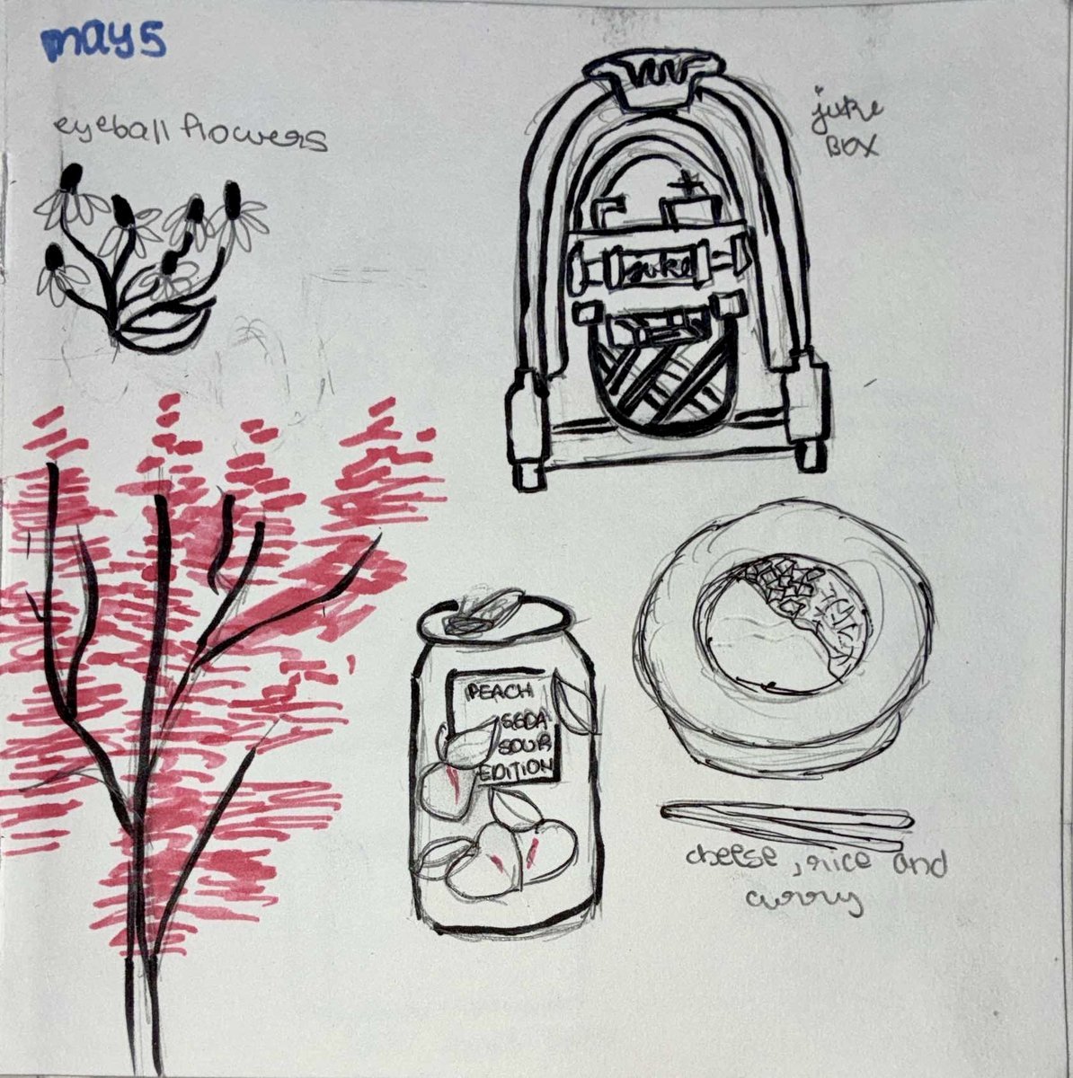 Diary Page 3