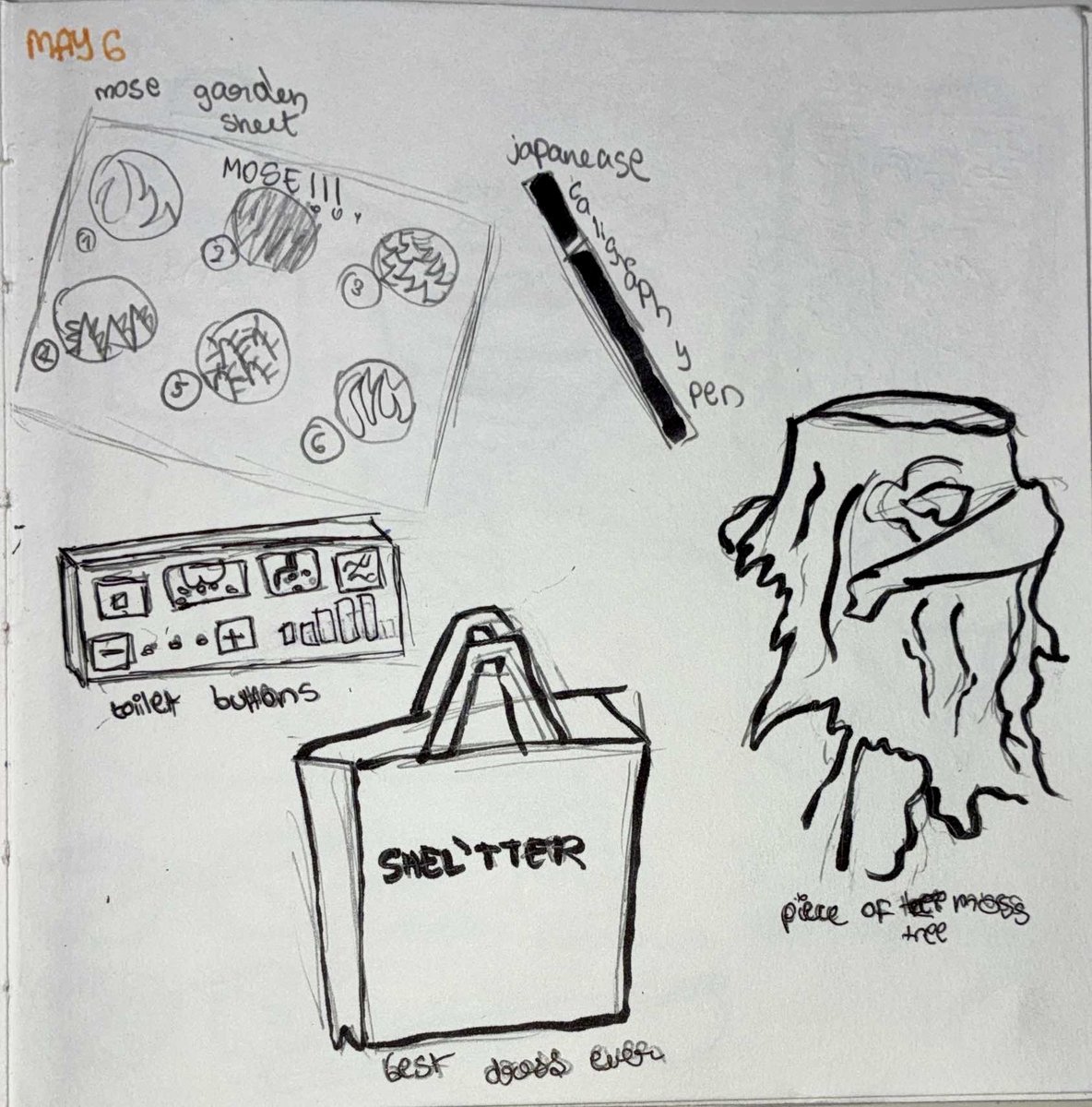 Diary Page 4