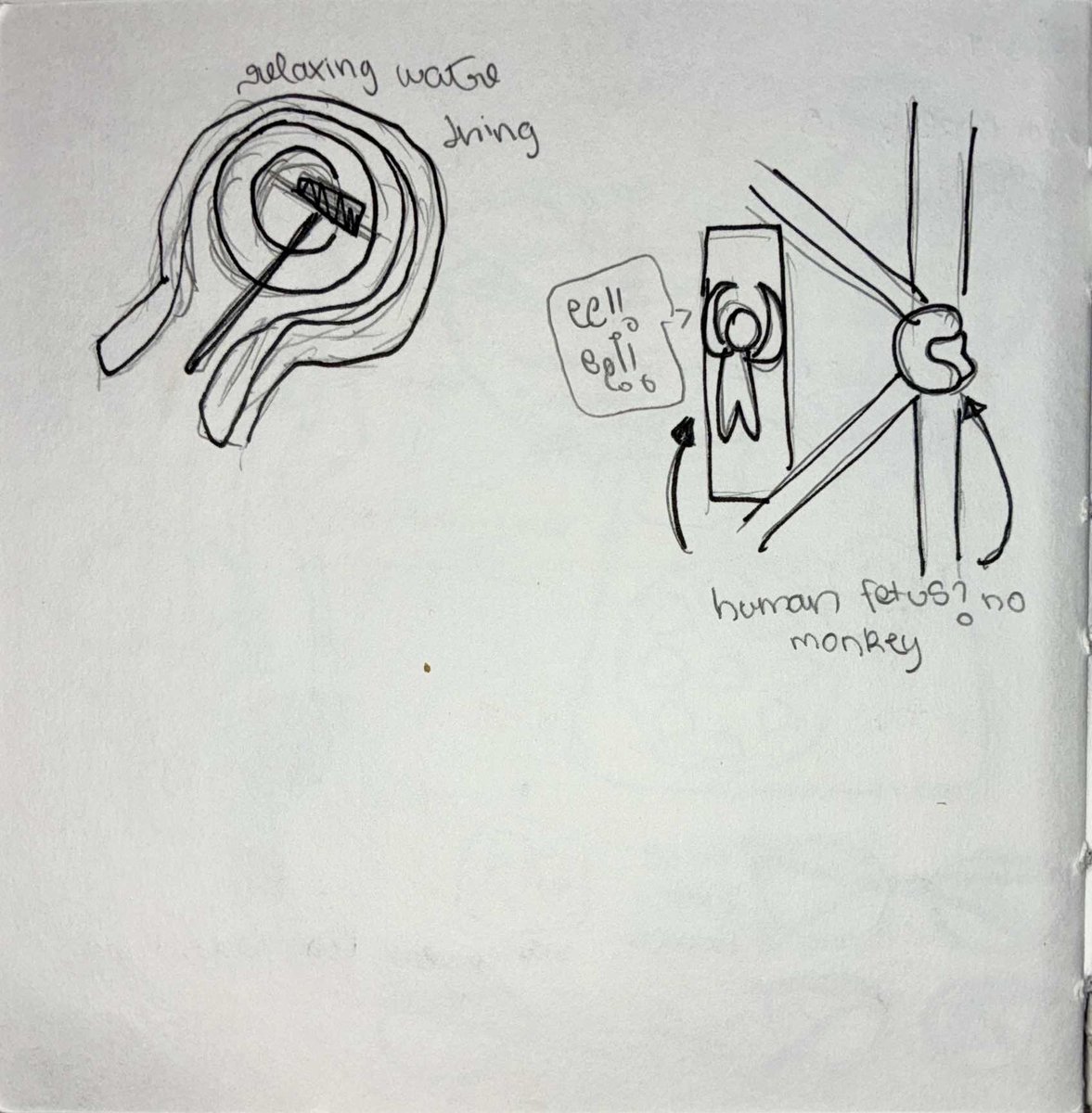 Diary Page 7